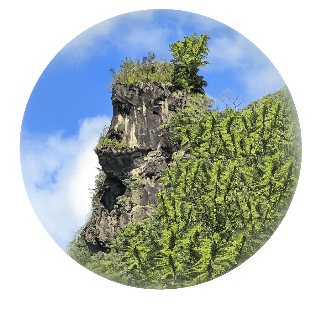 Hope Estate Cannabis Ltd.